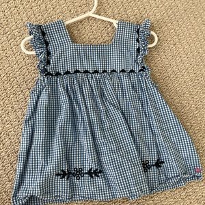 Pink chicken blue gingham embroidered top